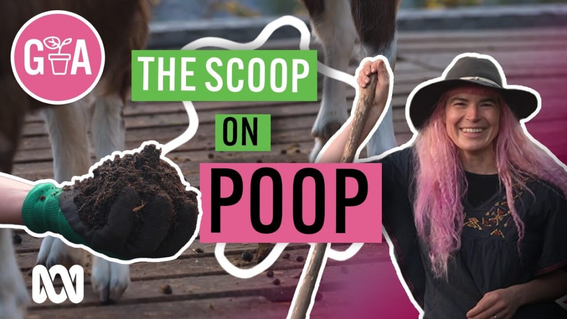 How To Use Manure in Your Garden | Gardening 101 | Gardening Australia How To Use Manure in Your Garden | Gardening 101 | Gardening Australia