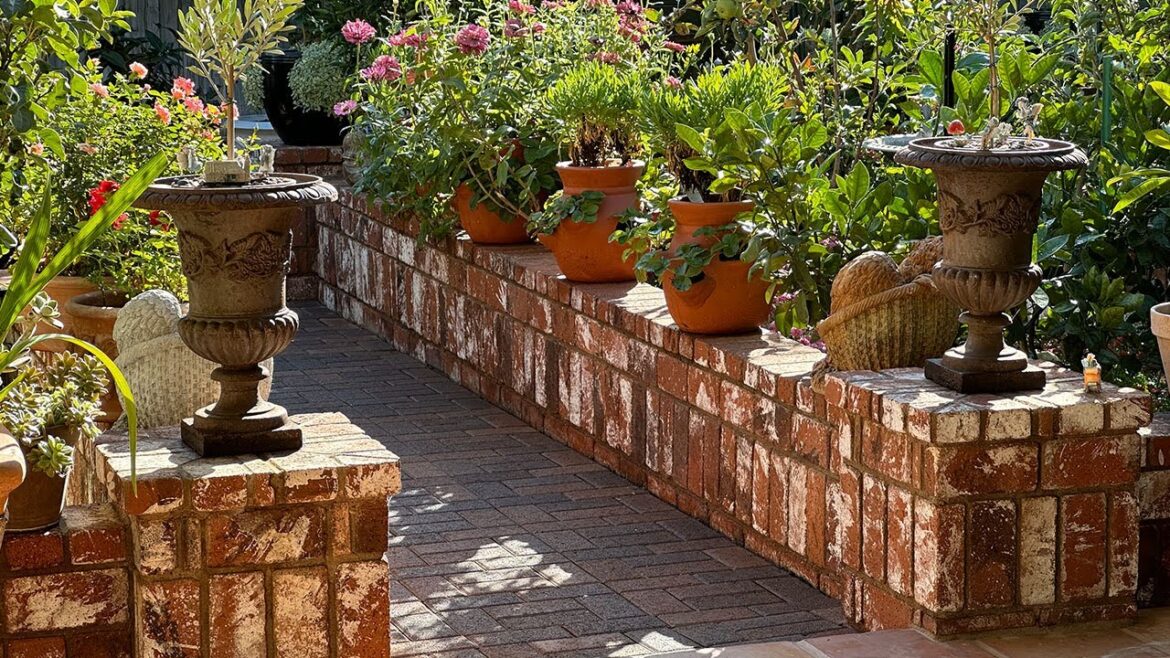 Peaceful and Relaxing Backyard Orchard Garden Tour