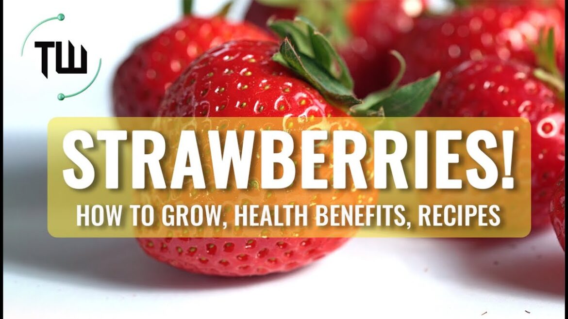 Health Benefits of Strawberry |  Benefits for Skin | Strawberry Harvest #strawberry