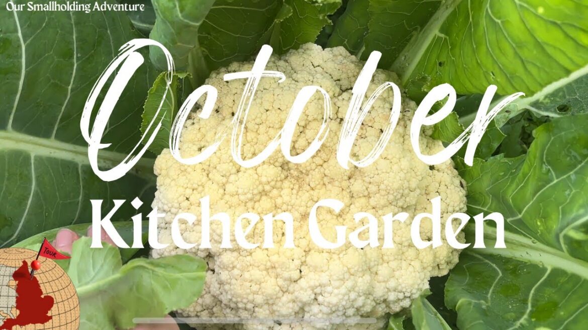 October Kitchen Garden Tour | Autumn Harvests, Planting, and Preparing for Winter