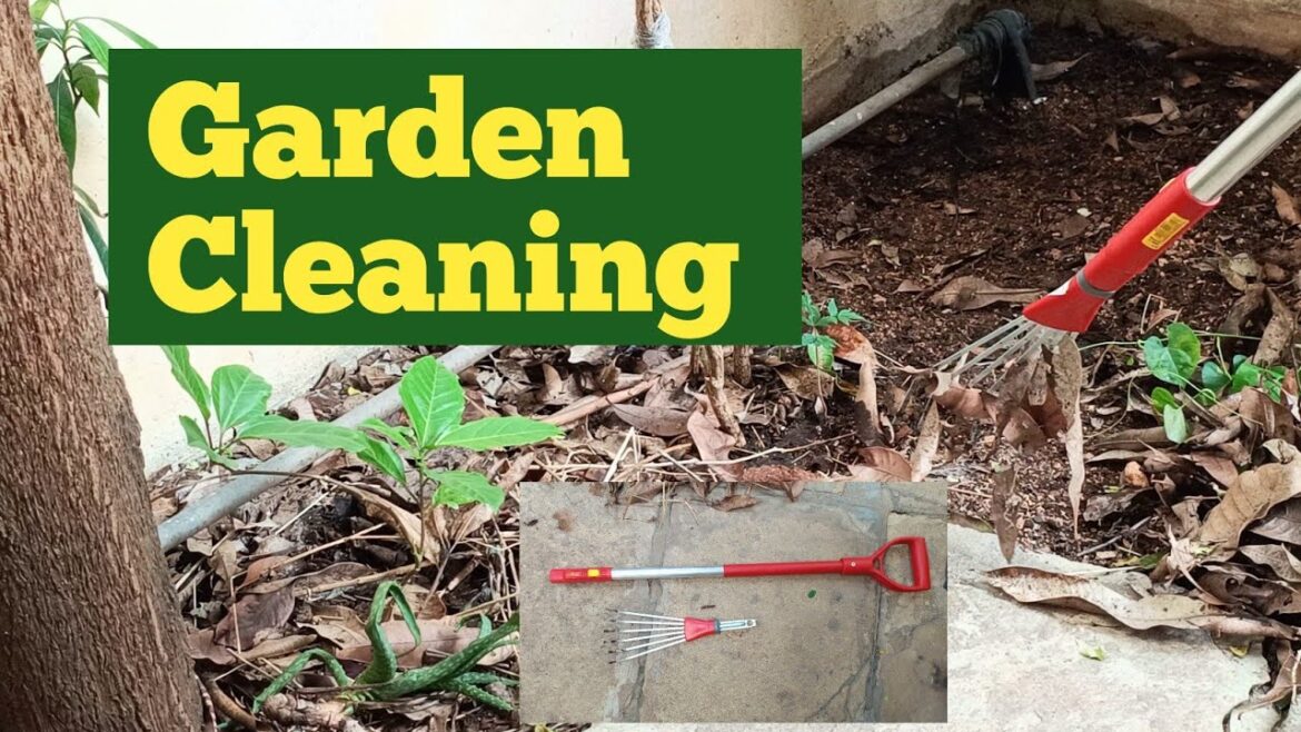 Garden Cleaning | Gardening Tools | Simplify Cleaning Process