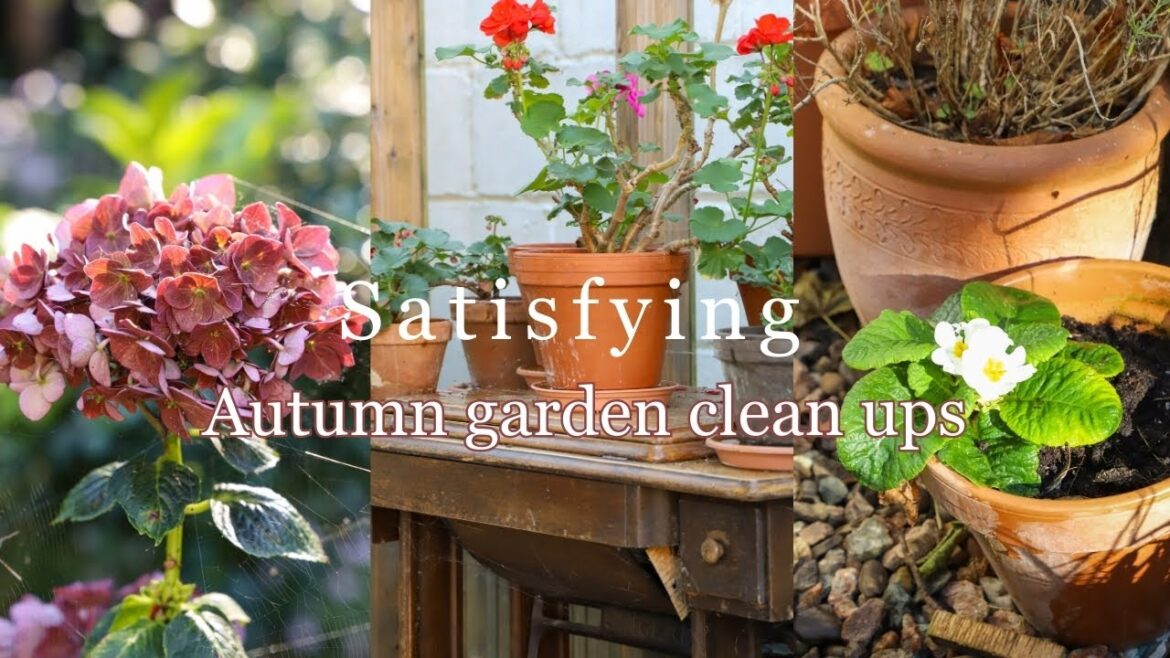 🍂 Autumn Cottage Garden Clean-Up | Satisfying Before & After Makeover + Spring Bulbs Unboxing 🌷