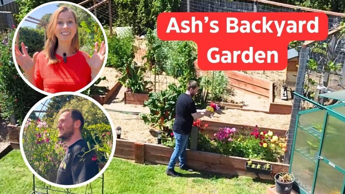 The insta-famous "ASH'S BACKYARD GARDEN" Full tour - Geelong vegetable garden - Gardening Australia