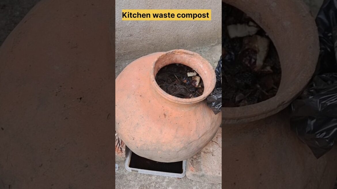 Compost tea for plants ||Liquid fertilizer #gardening #liquidfertilizer #vegetablegardening