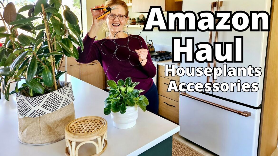 AMAZON HAUL: Houseplant & Indoor Gardening Accessories