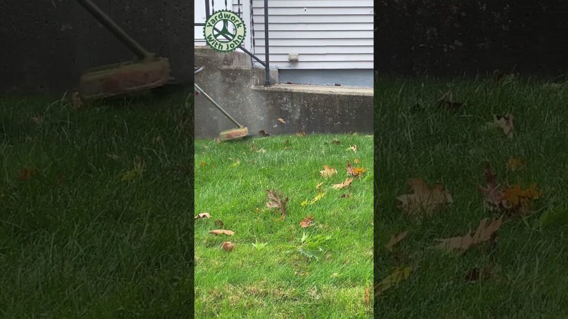 Weed Wacking the Front Steps