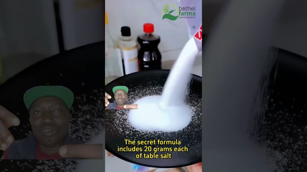 DIY Weed Control for Corn That Actually WORKS! #gardening #planting #plants  #farming #gardeningtips