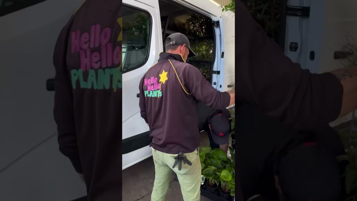 Visit us and shop for plants at Hello Hello Plants Nursery!🍁