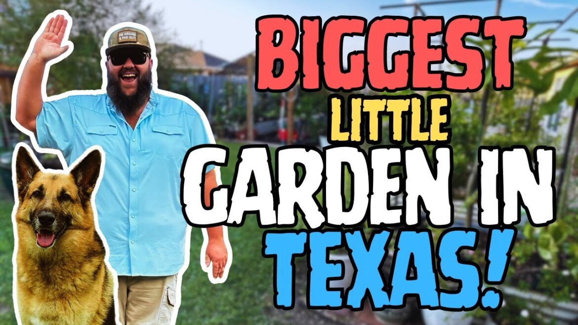 EXCLUSIVE Tour of My Backyard Garden PARADISE! | Growing HUNDREDS of Plants in a TINY Suburban Yard! EXCLUSIVE Tour of My Backyard Garden PARADISE! | Growing HUNDREDS of Plants in a TINY Suburban Yard!