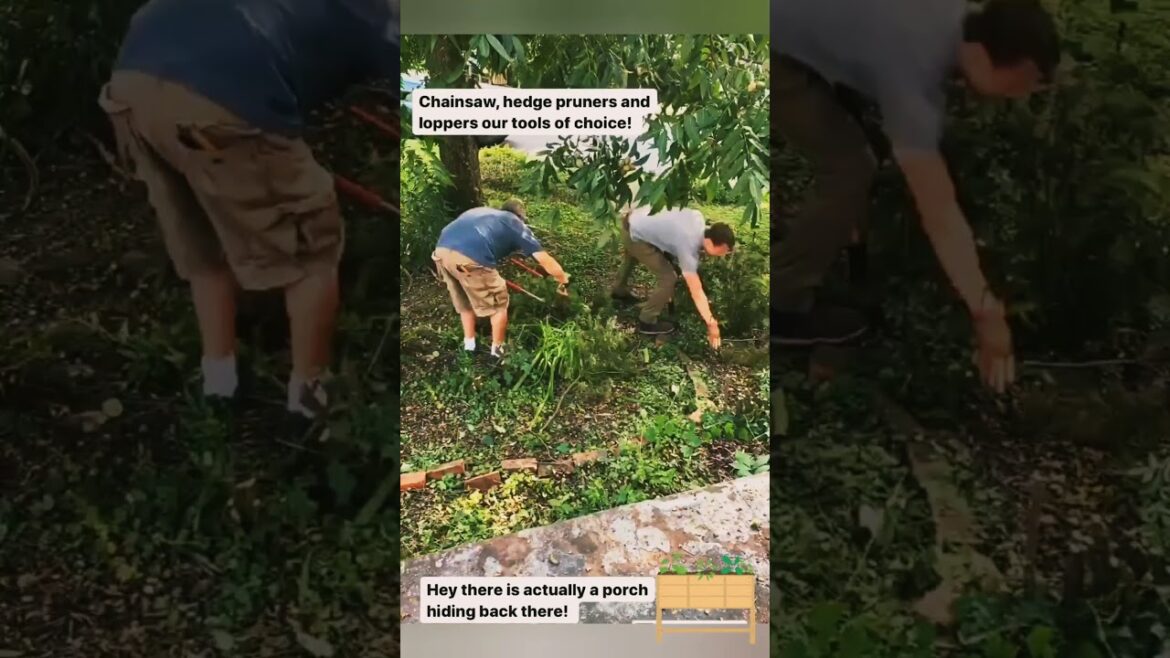 Garden Renovation #gardenofbanban #gardenersworld2024 #gardening #garden #home #diy #garden Garden Renovation #gardenofbanban #gardenersworld2024 #gardening #garden #home #diy #garden