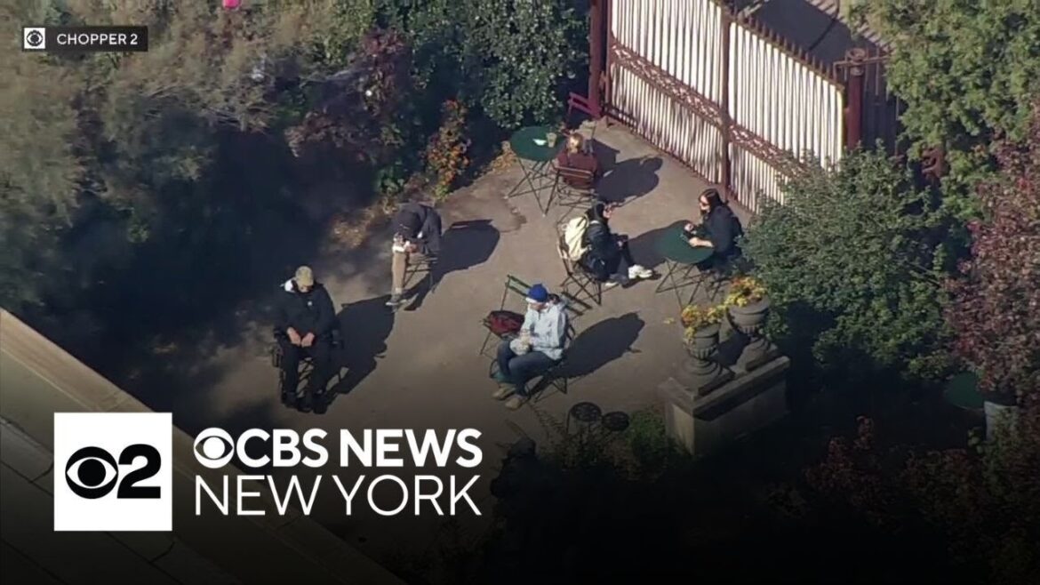 Elizabeth Street Garden eviction temporarily halted