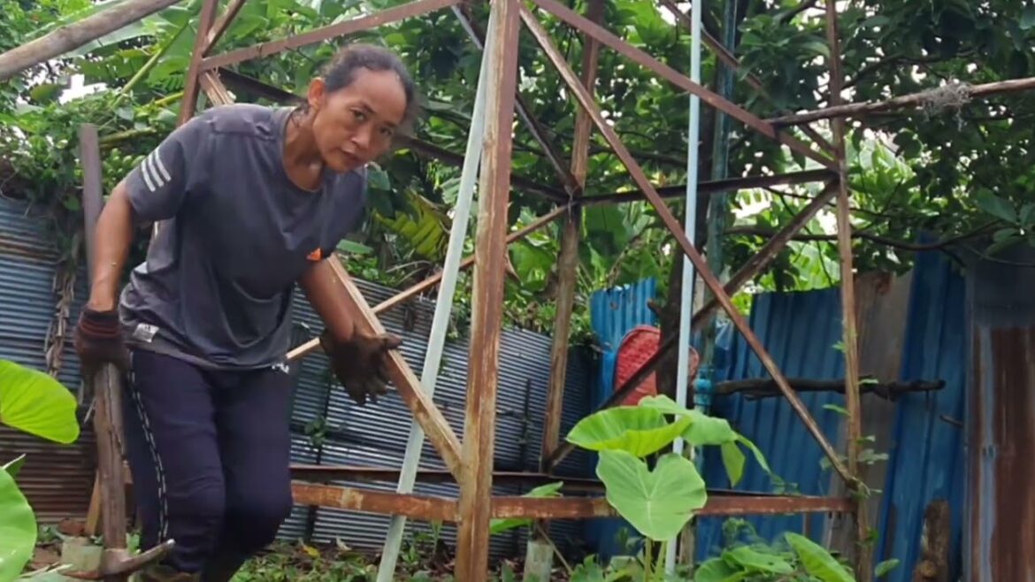 Clean front yard garden to grow herb and vegetible in rainy season Clean front yard garden to grow herb and vegetible in rainy season