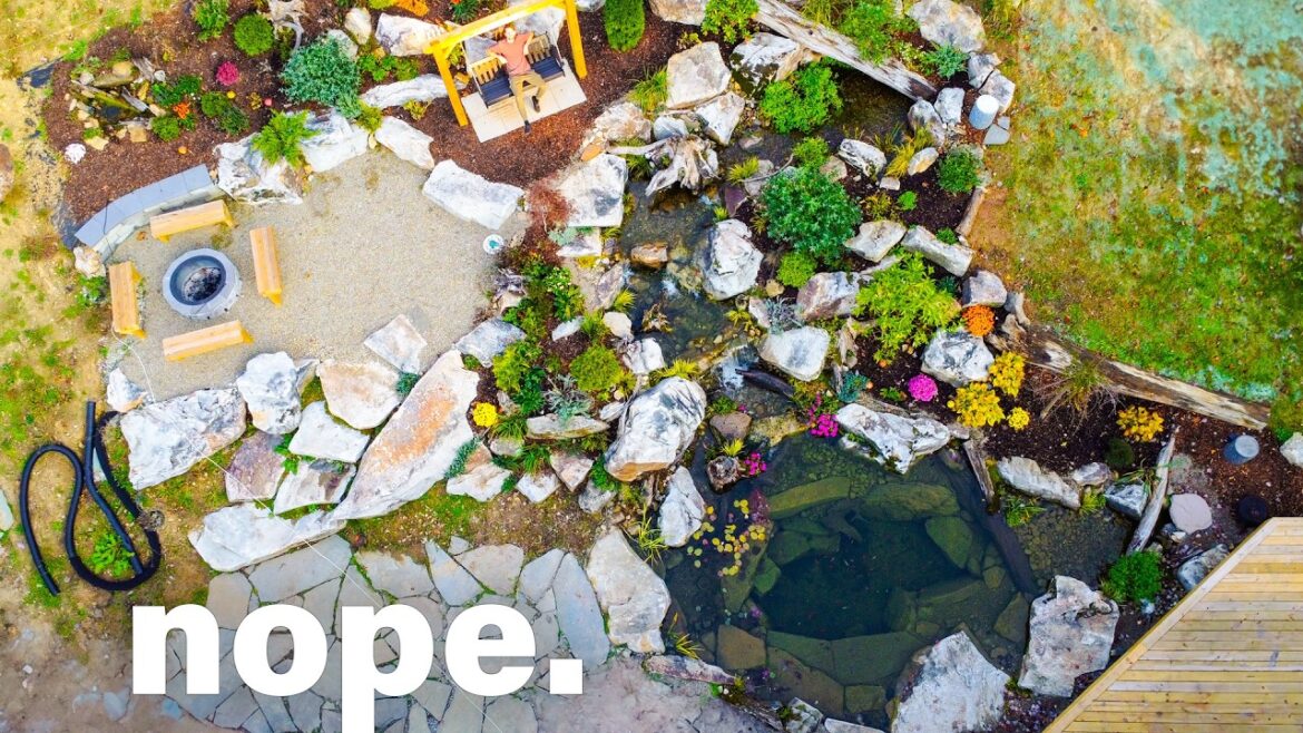 I Tried to Build a Backyard Oasis in 1 Year, I Failed I Tried to Build a Backyard Oasis in 1 Year, I Failed