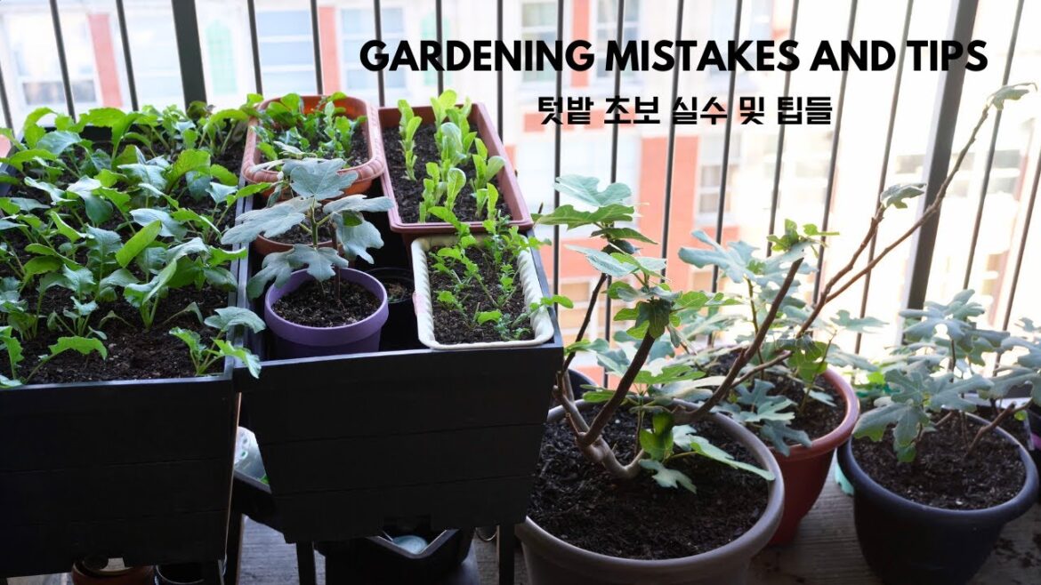 Gardening Mistakes to Avoid and Tips for Beginner - Vegetable Gardening