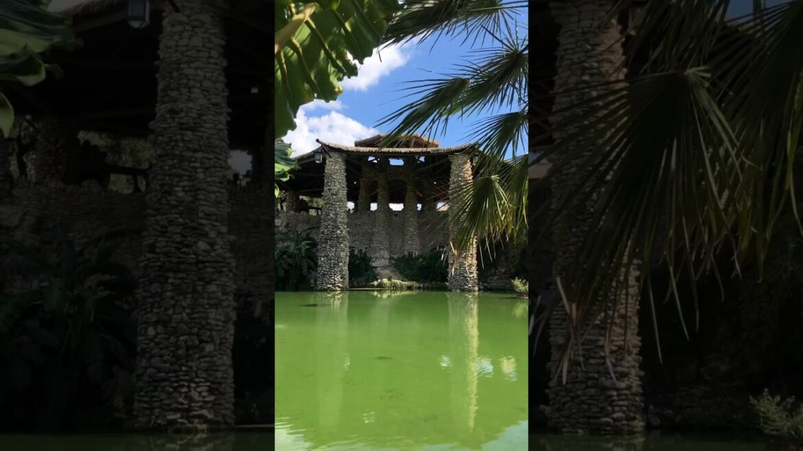 Japanese garden in San Antonio #travel #park #shorts