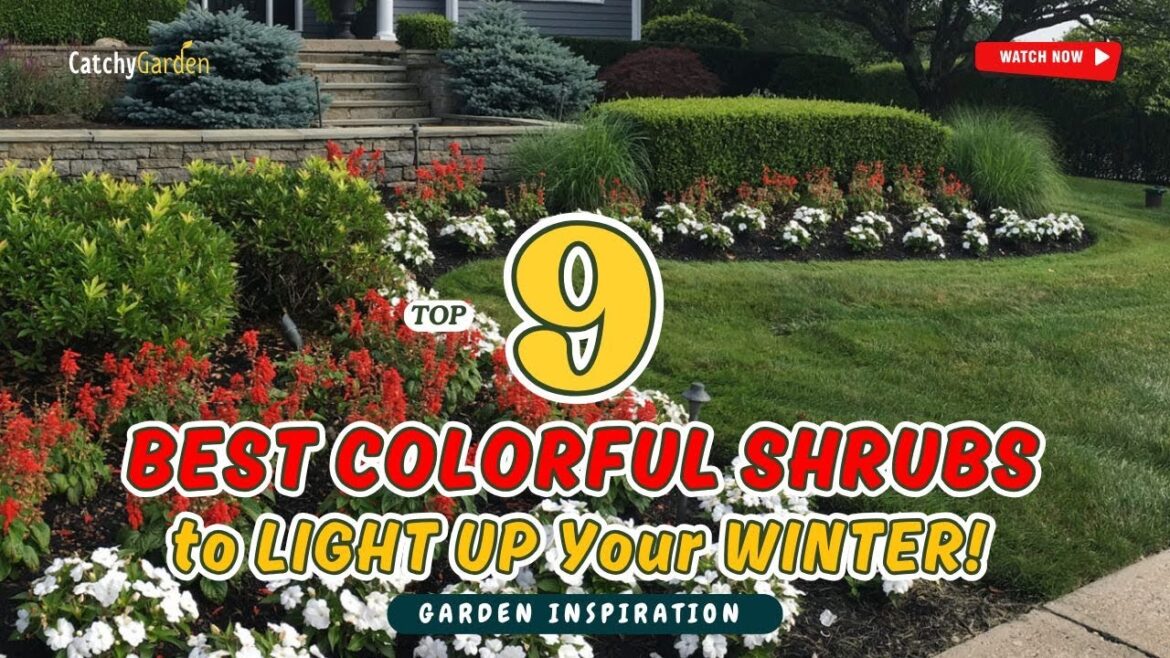 9 Best COLORFUL SHRUBS to LIGHT UP Your WINTER! 🌿❄️🌸 // Gardening Ideas