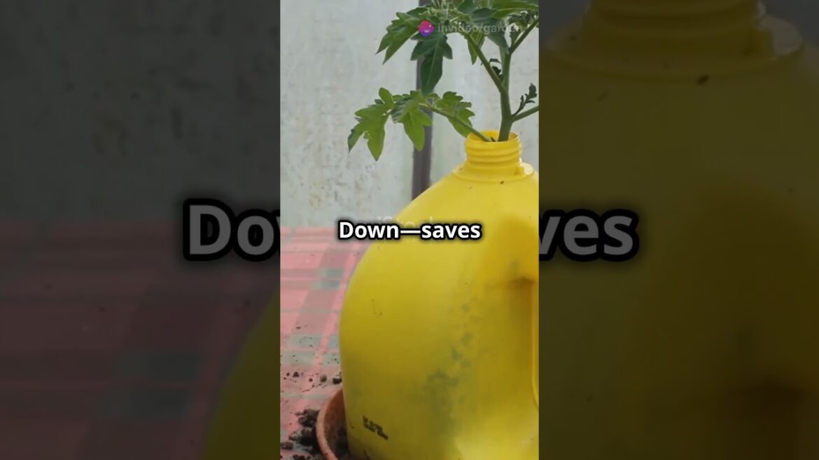 10 Unique Gardening Ideas #garden #gardeningideas #gardening #gardeningtips #gardentipsandtricks