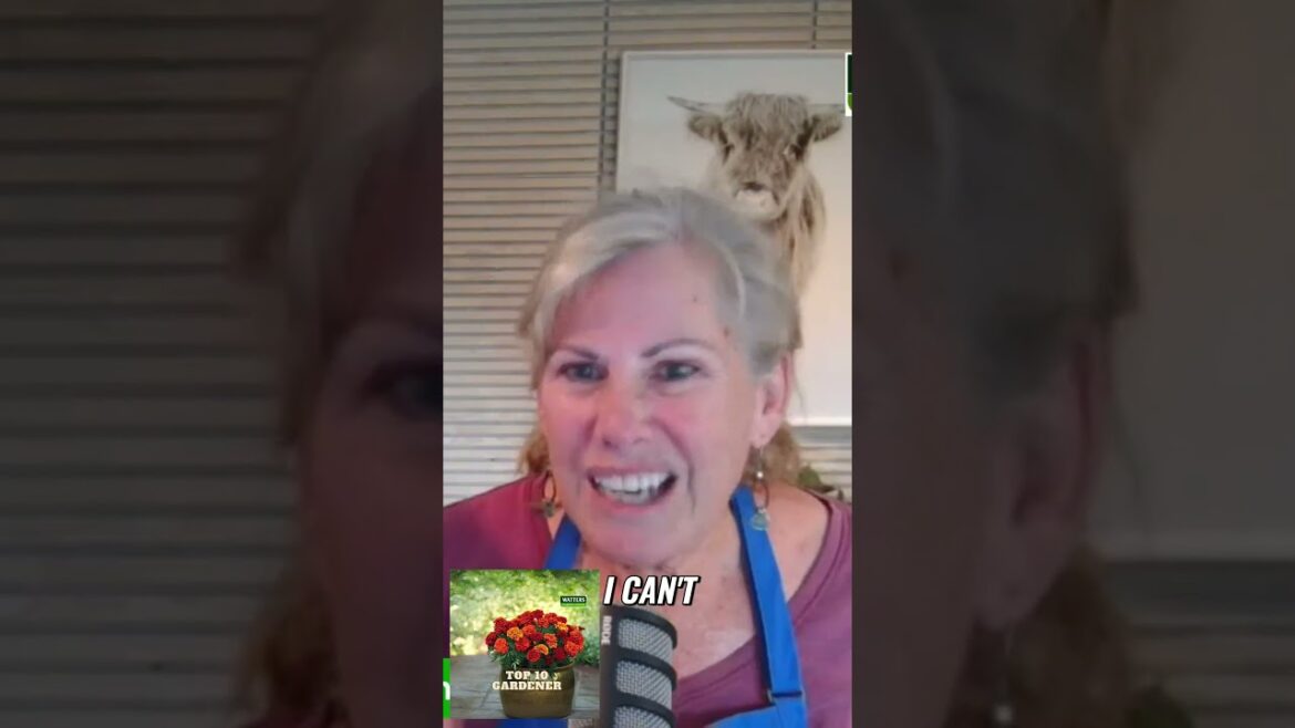 Fall Gardening To Do List