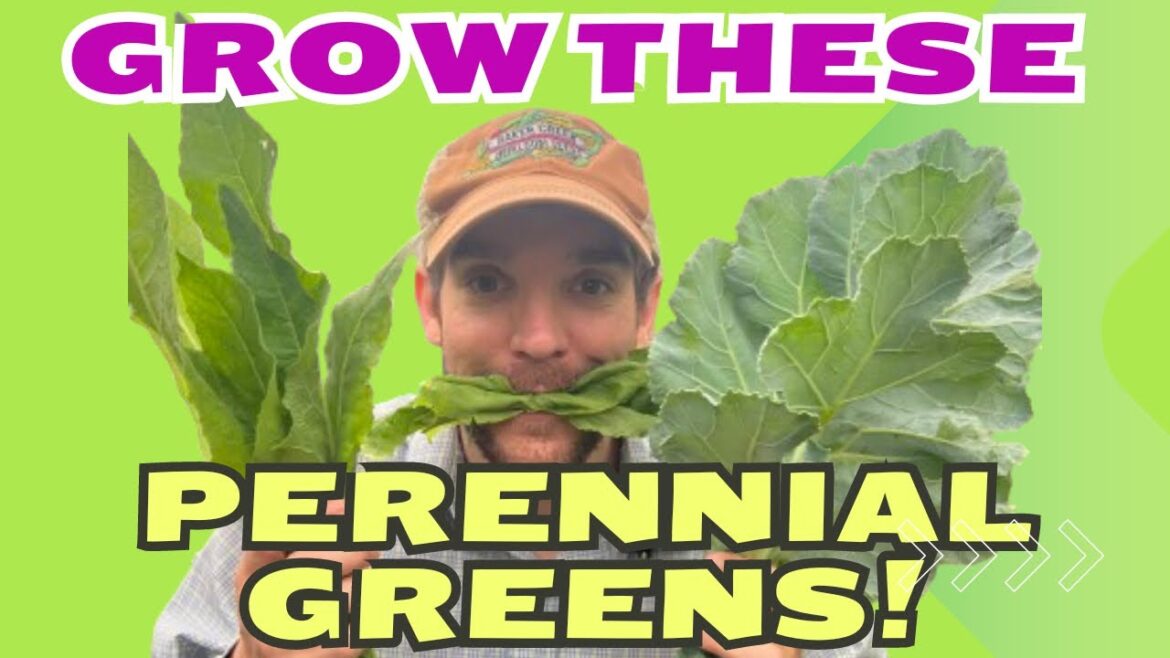 Grow a Great Edible Garden! Crazy Easy Choices for Beginners Grow a Great Edible Garden! Crazy Easy Choices for Beginners
