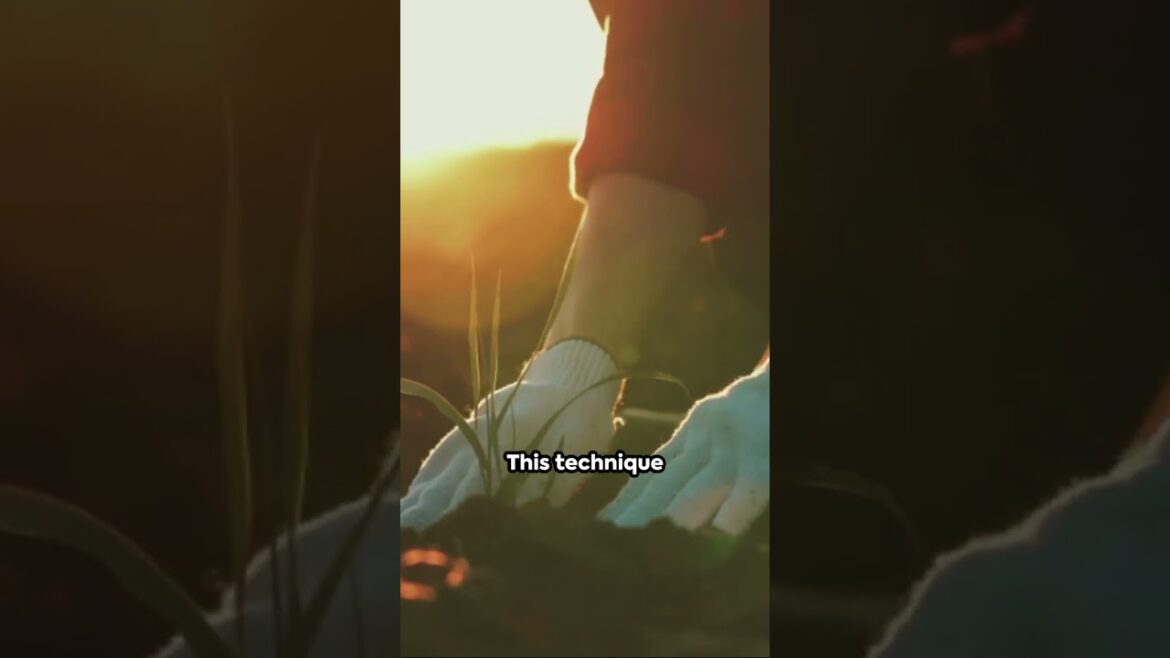 Master the Seasons, Year Long Gardening