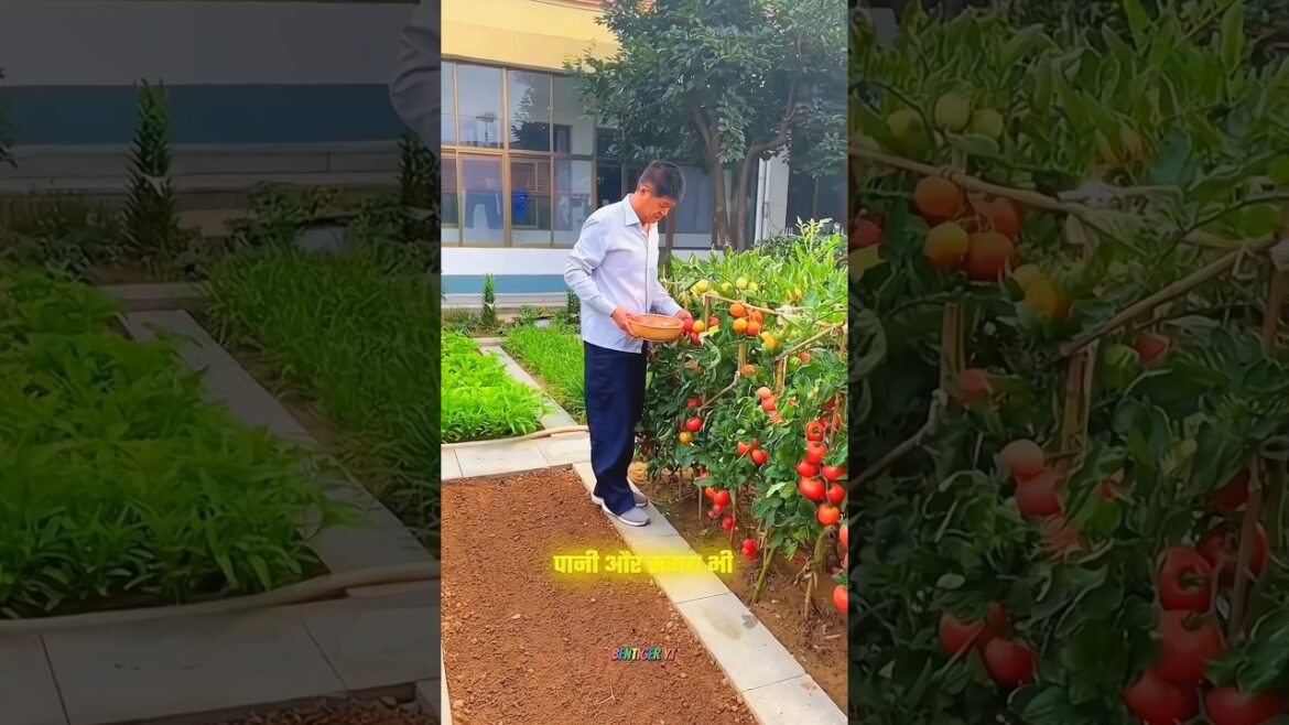 China ki forming itni advance kyon Hai?