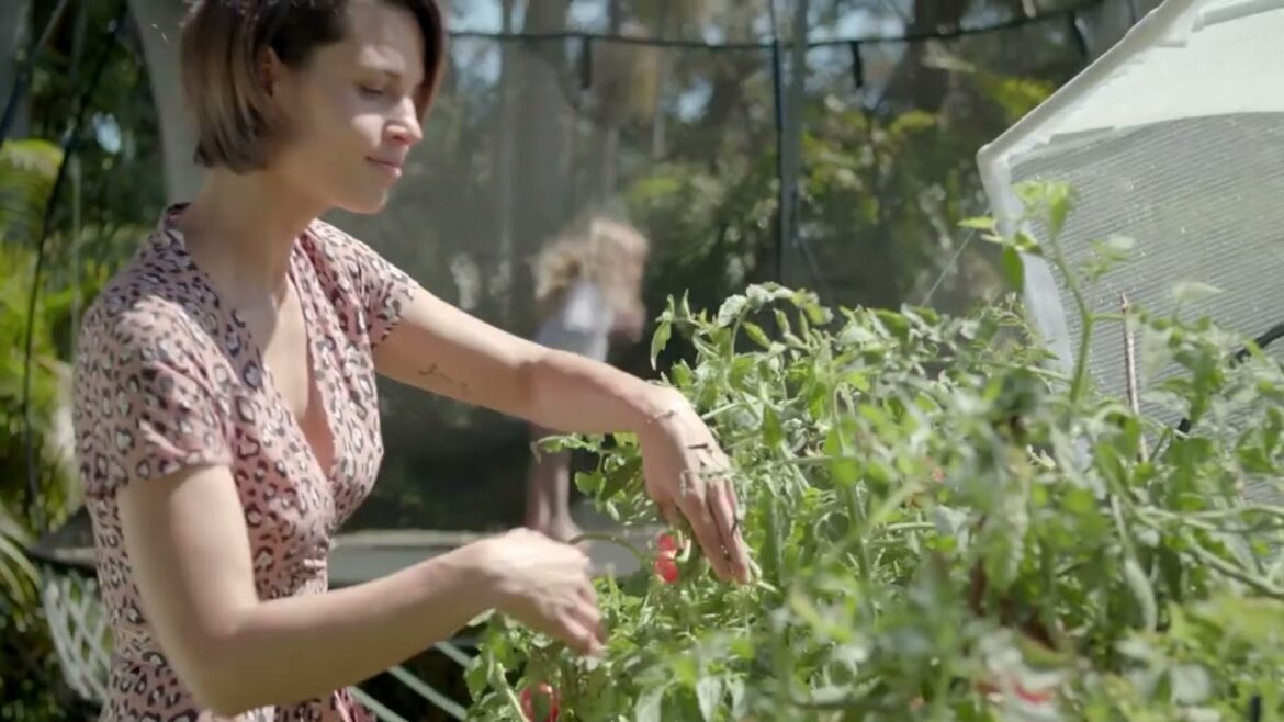 Vegepod Self-Watering Small Container Garden with Stand & Cover on QVC Vegepod Self-Watering Small Container Garden with Stand & Cover on QVC