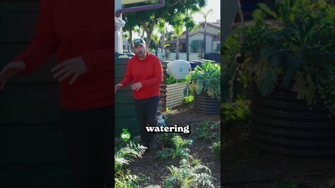 4 Watering Hacks for Every Season