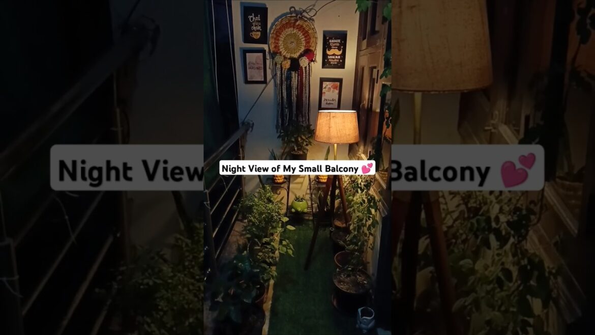 Evening Vibes : my lovely little balcony 🏡 #balcony #shorts #vibes