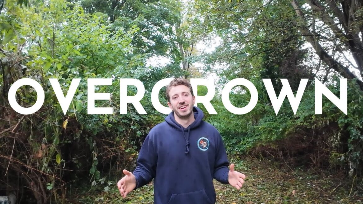 This OVERGROWN Yard Never Ends! Free Garden Makeover for a Single Mother