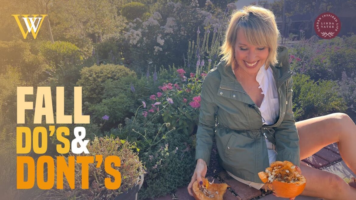 Do’s and Dont’s For Fall Gardening Do's and Dont's For Fall Gardening