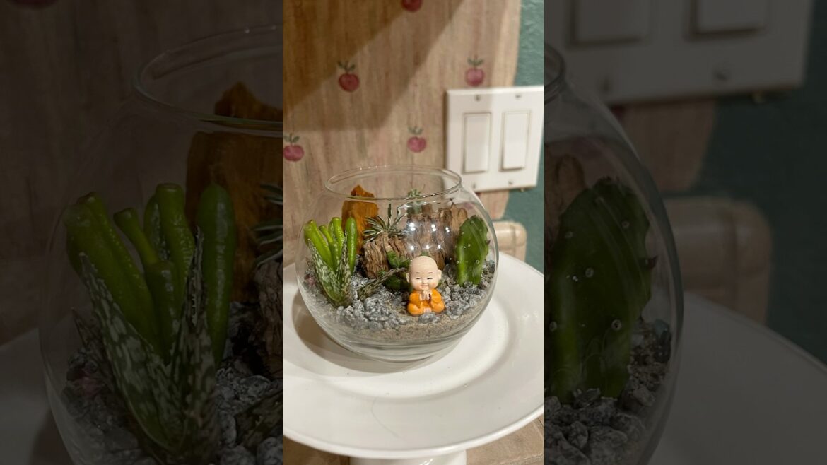 Miniature garden#fairyhouse #diy #garden #gardenideas #terrarium #gardenideas #monk #budha #fairy
