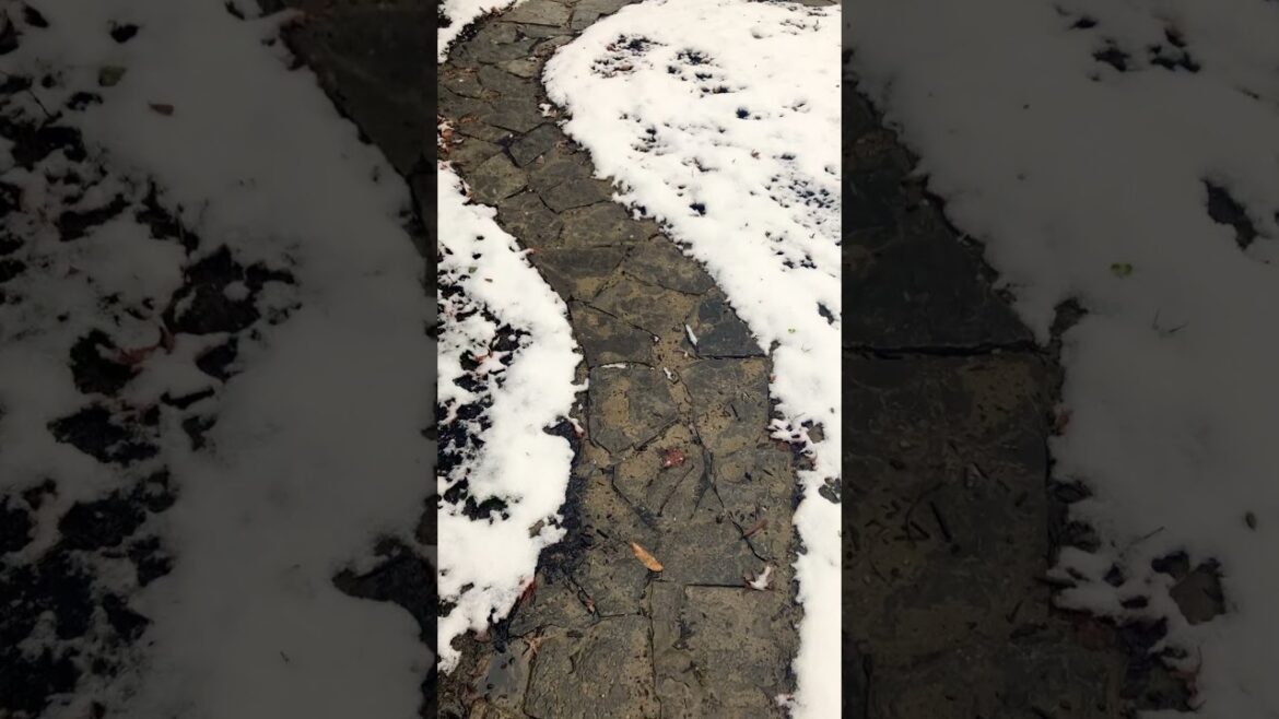 Zen garden path #landscaping#stones #shorts