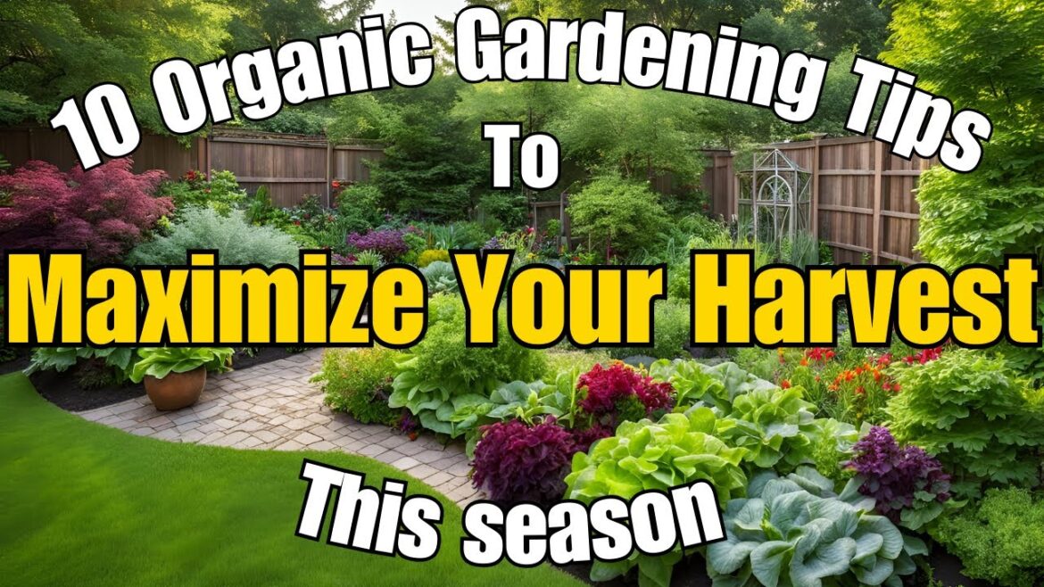 10 Beginner-Friendly Organic Gardening Tips to Maximize Your Harvest This Season #EcoGrowCommunity