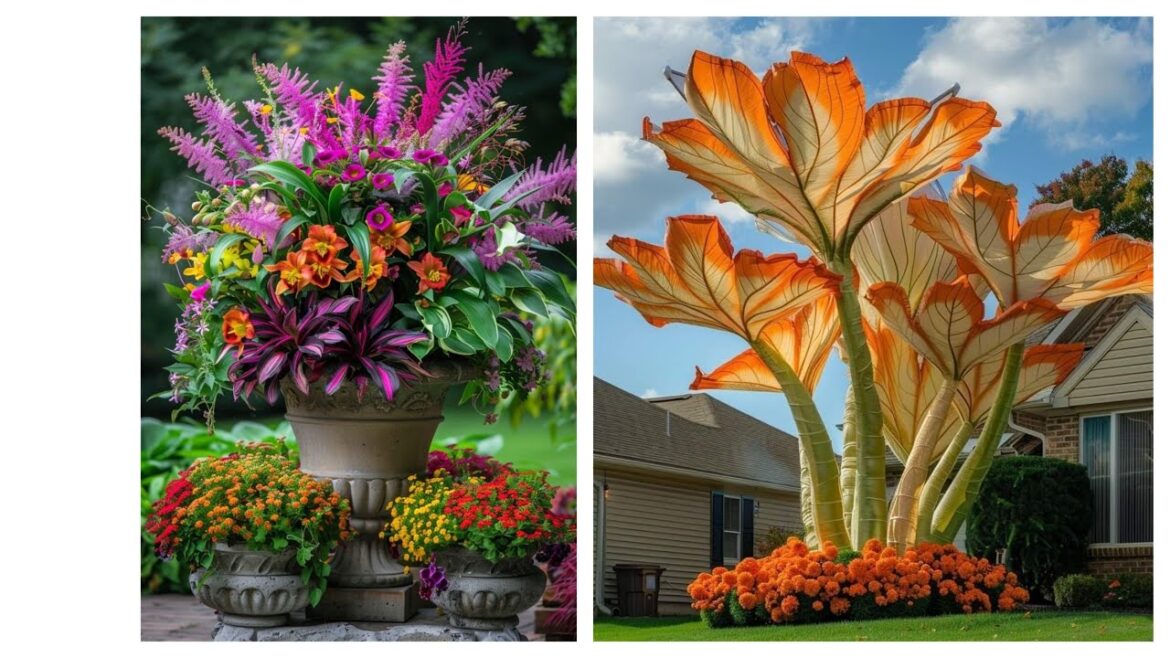 garden design,small garden,garden ideas,garden,small garden design,garden design ideas,small garden