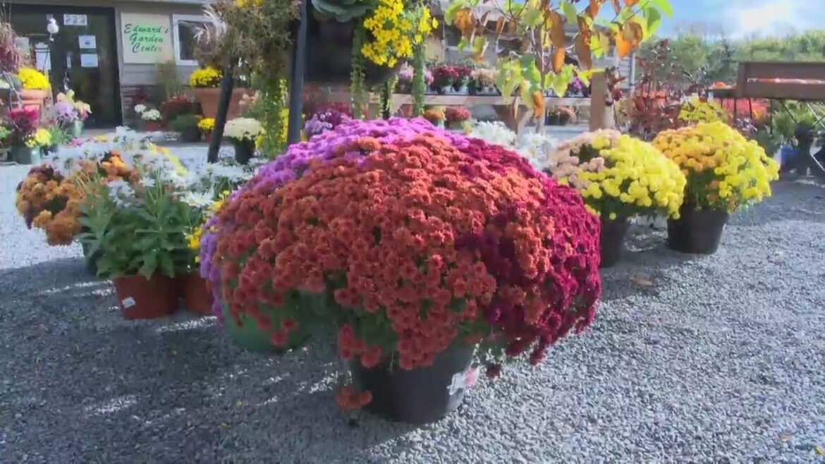 Forty Fort garden center warns of frost impact on plants