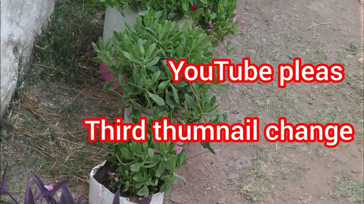 Flower Pots Designs And Ideas | Garden Decore | Colourful pots ideas | gardening crochetflower Flower Pots Designs And Ideas | Garden Decore | Colourful pots ideas | gardening crochetflower