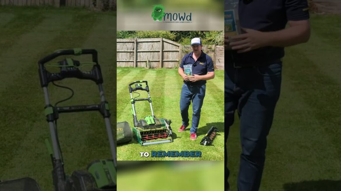 The secret to a thatch free lawn