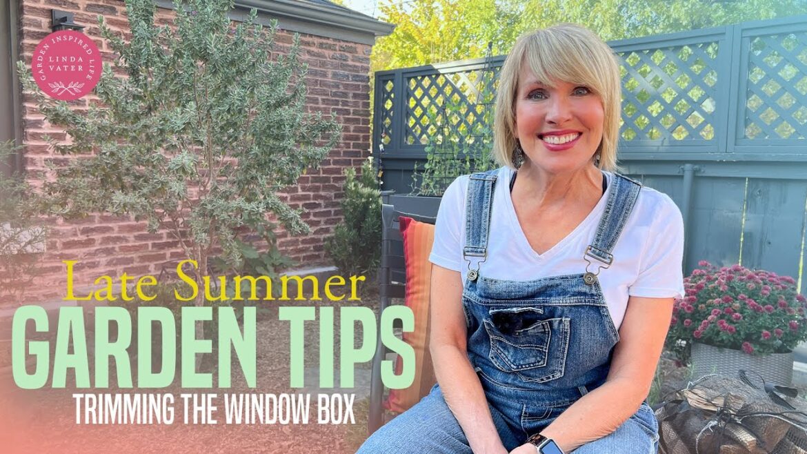 Rerun: Summer Garden Tips: Trimming Window Boxes and Preparing for Next Year’s Garden 🌱