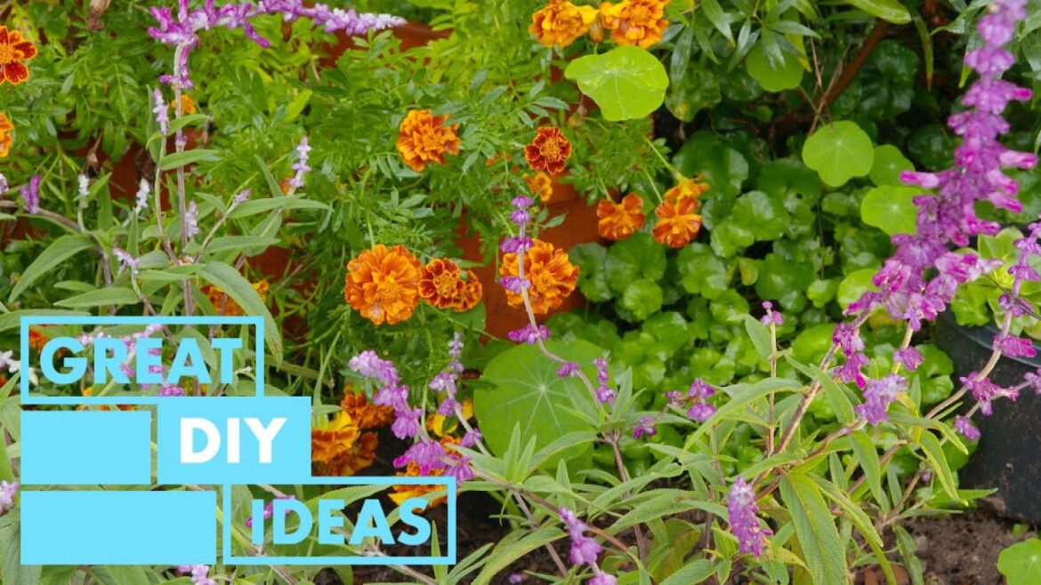 Mothers Day Backyard Makeover | DIY | Great Home Ideas Mothers Day Backyard Makeover | DIY | Great Home Ideas