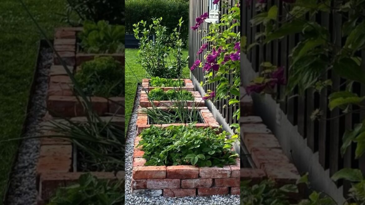 GARDENING ideas for hom