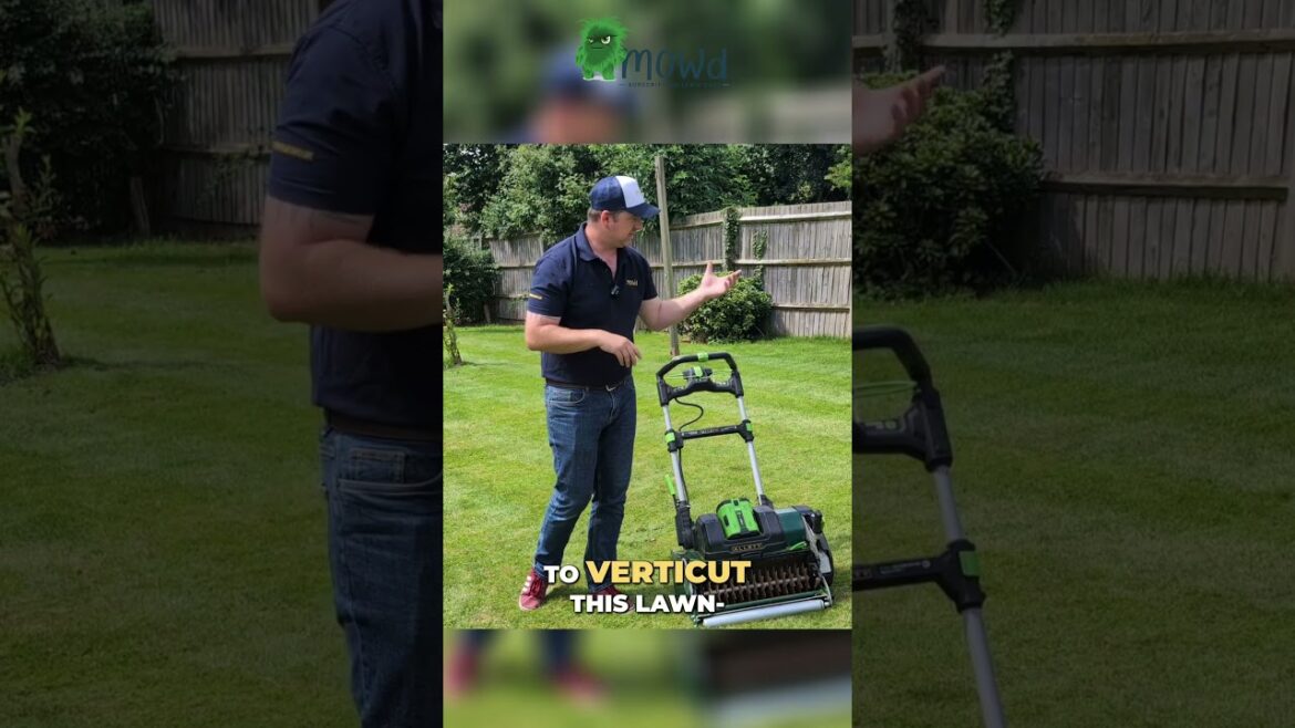 VERTICUTTING is key to a perfect lawn