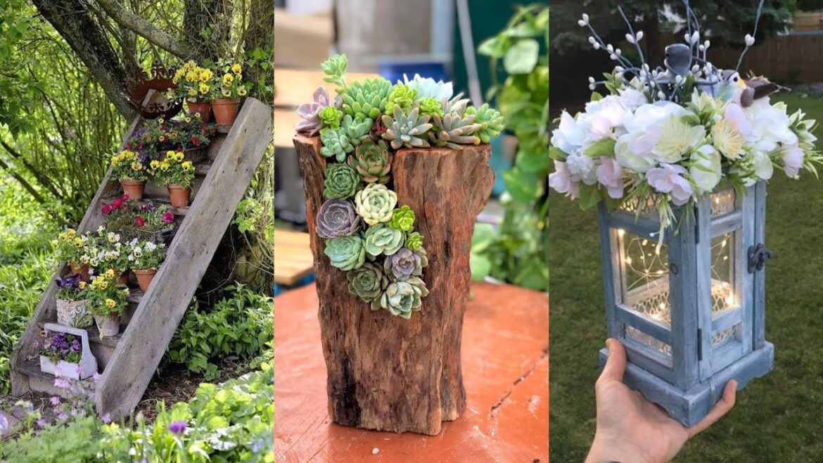 garden design,small garden,garden ideas,garden,small garden design,garden design ideas,small garden garden design,small garden,garden ideas,garden,small garden design,garden design ideas,small garden