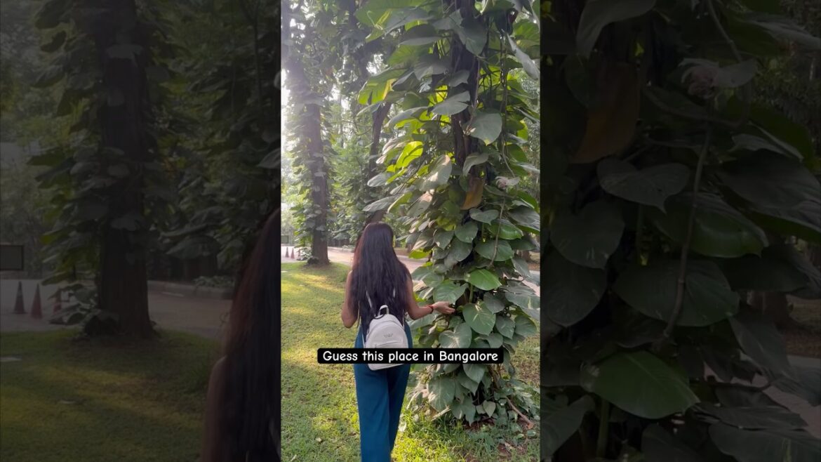 House Garden ideas #telugu #shorts #vlog #garden #tips #house #trending #viralvideo #tree #cafe