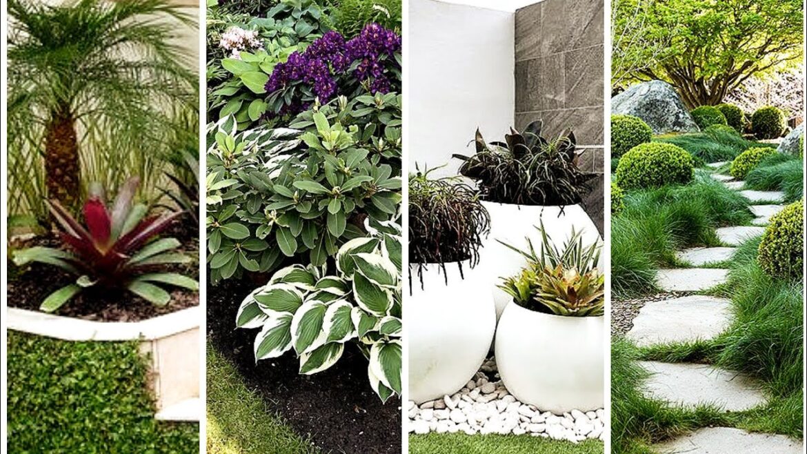 Best Garden Decoration Inspirations! 100 Most Loved Outdoor Ideas!  Must SEE!