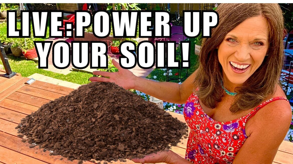 CaliKim: 🍅LIVE: Power Up Your Soil For Next Spring 🍅LIVE: Power Up Your Soil For Next Spring