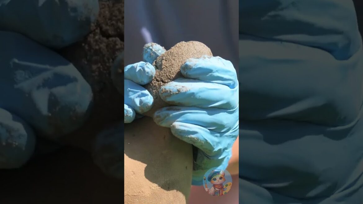 Garden cement chickens 🐓