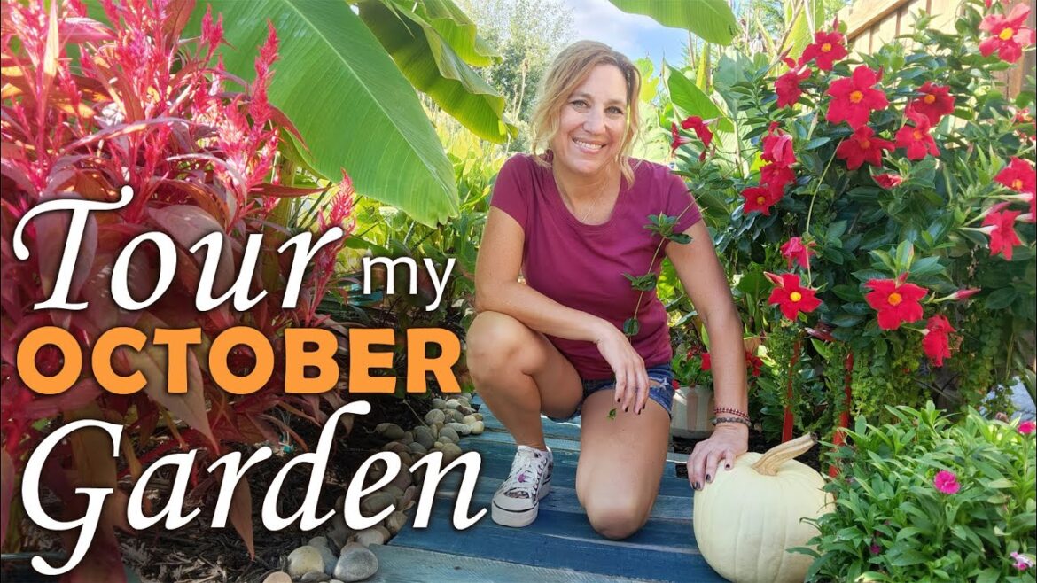 October Garden Tour of My Carolina Garden | BACK YARD