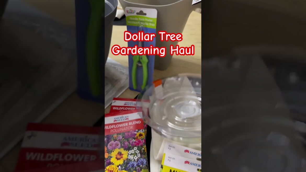 Dollar Tree HAUL #gardening #haul #springgarden