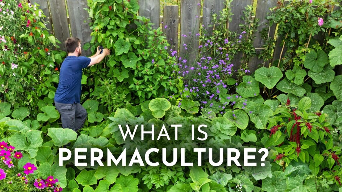 PERMACULTURE Explained in 6 Minutes