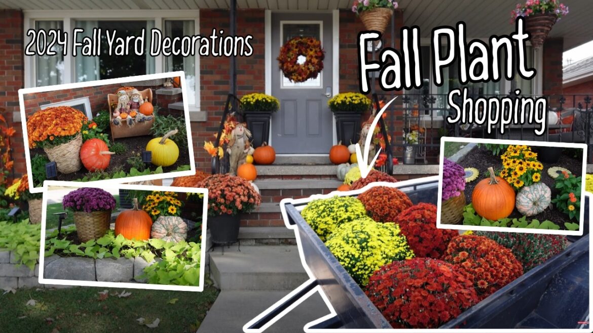 Shop with me for Fall Plants: 2024 Fall Yard Decorations | Pumpkins and Mums Haul | Cozy Fall Vlog π Shop with me for Fall Plants: 2024 Fall Yard Decorations | Pumpkins and Mums Haul | Cozy Fall Vlog π